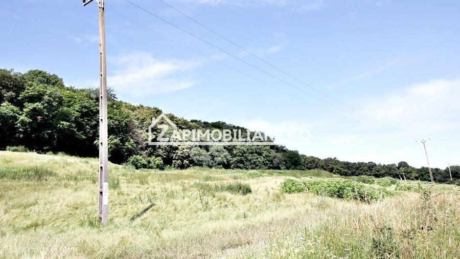 Teren 9.600 mp.17 euro mp deschidere la drum 200 m. - 4