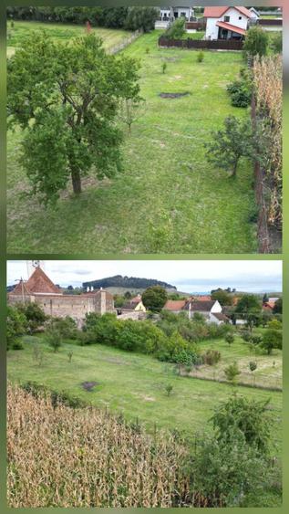 Gradina din Cetate un colt de natura si istorie, doar al Tau - 1