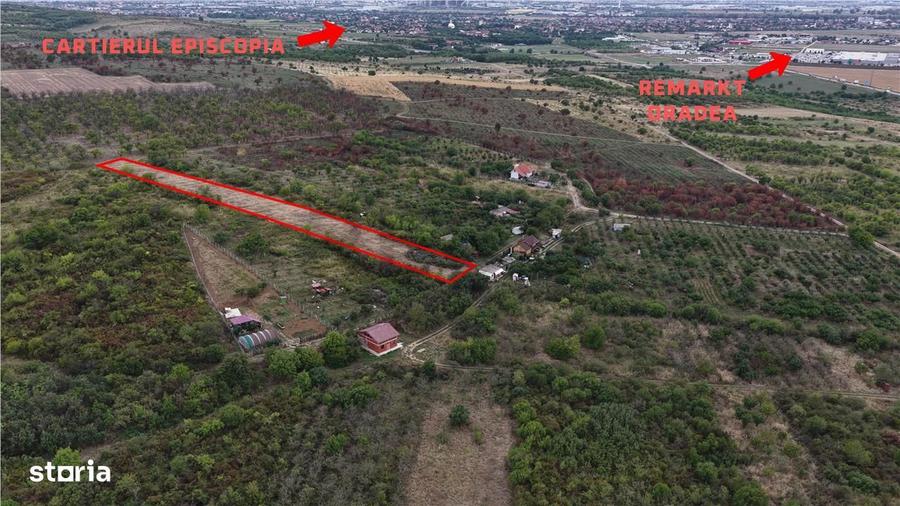 RECO Teren Episcopia - 2