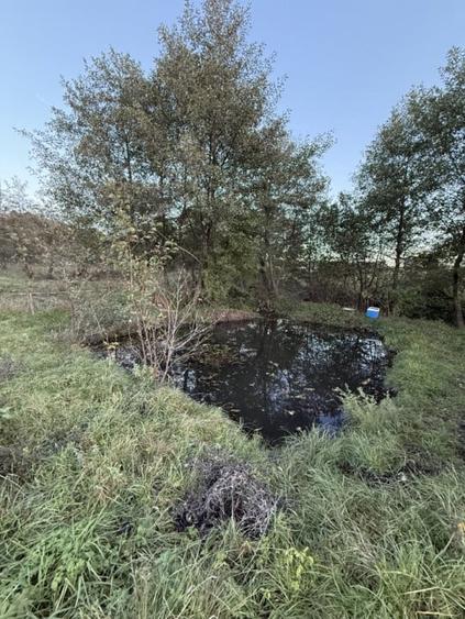 Teren extravilan de vanzare in Salicea 916mp+84mp drum necesita PUZ - 7