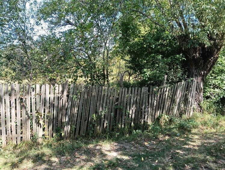 Vand Teren Radesti Stalpeni - 1