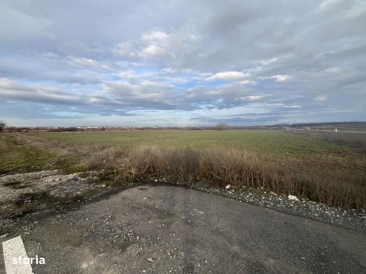 Teren 7481 mp, cu acces facil la Inelul Metropolitan - 6
