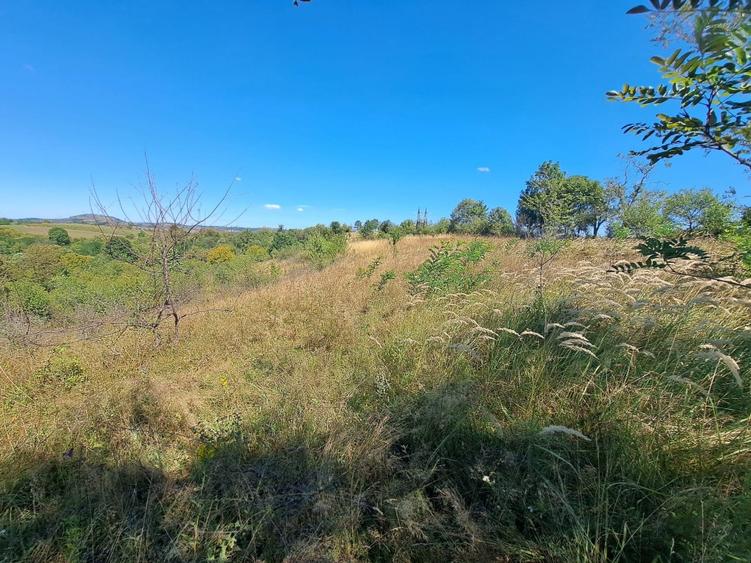 Teren 4647mp intravilan in spatele Spitalului Județean Reșița - 3