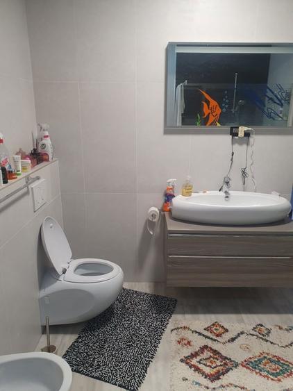 Vila zona Masnita - 5
