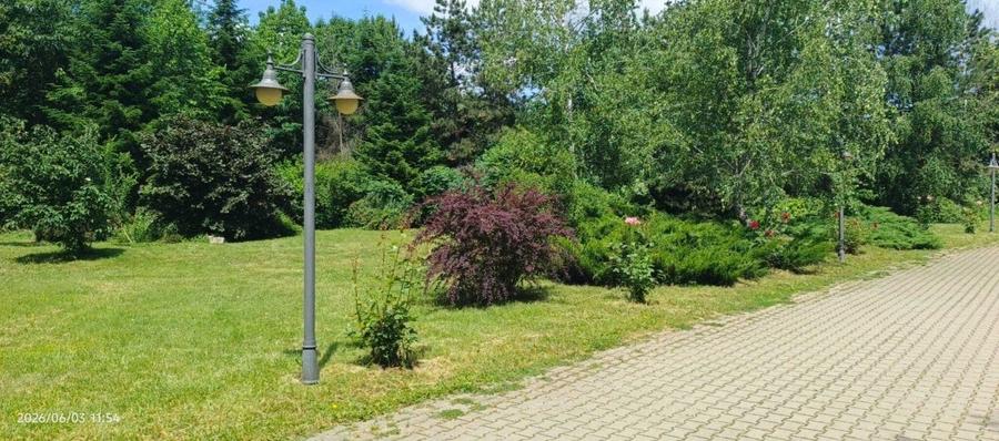 PARADISUL VERDE. PARCELA DE TEREN 1363 MP. LOT SPECIAL. RETRAS - 2