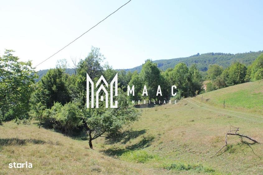 Spațiu comercial, în Cărpiniș