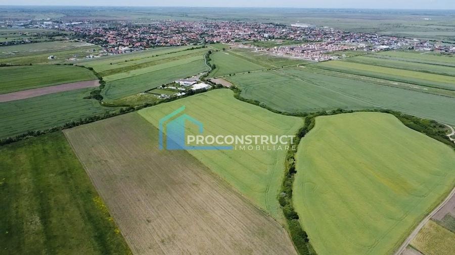 Teren agricol extravilan de 9990 mp, în Săcălaz
