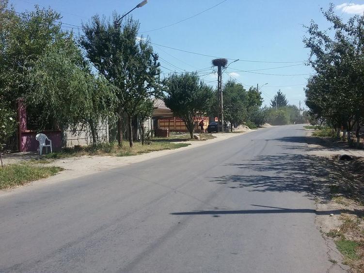 Casa si teren, Sintesti, jud. Ilfov - ID: 17530 - 5