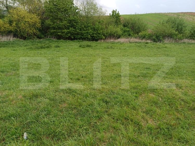 Teren agricol extravilan de 5000 mp, în Periferie