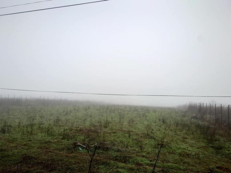 Teren de 6600 mp, în Vânători