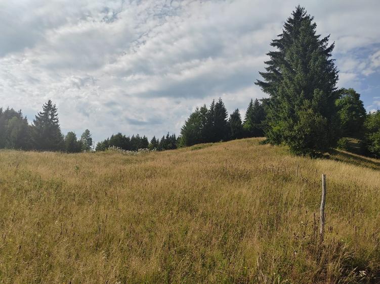 Teren Construcții intravilan de 20000 mp, în Colibița