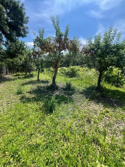 Casă individuală cu 4 camere cu Teren 1433 Mp în Moara