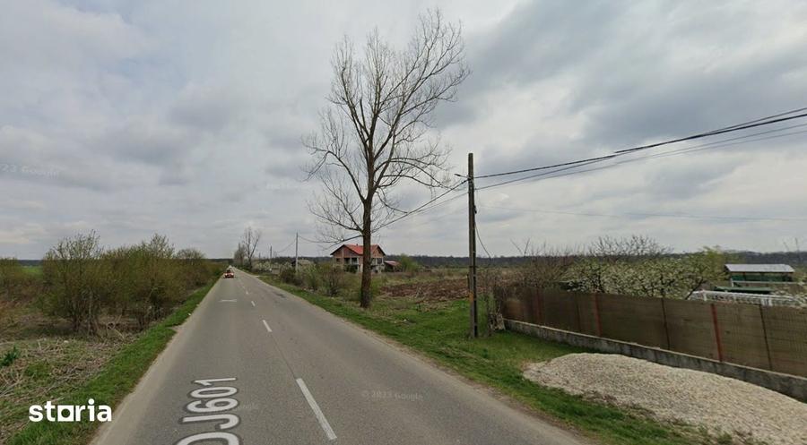 Teren de 5006 mp, în Crevedia Mare