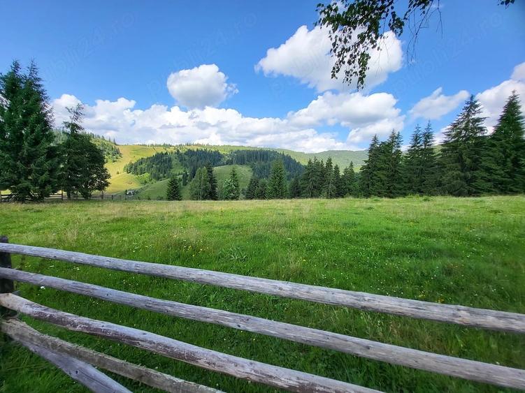 Teren de 5000 mp, în Ortoaia