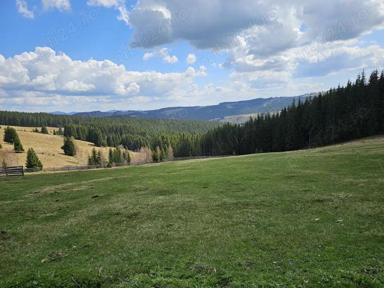 Teren de vanzare 15 hectare in Bucovina Moldova Sulita zona Lucina - 3