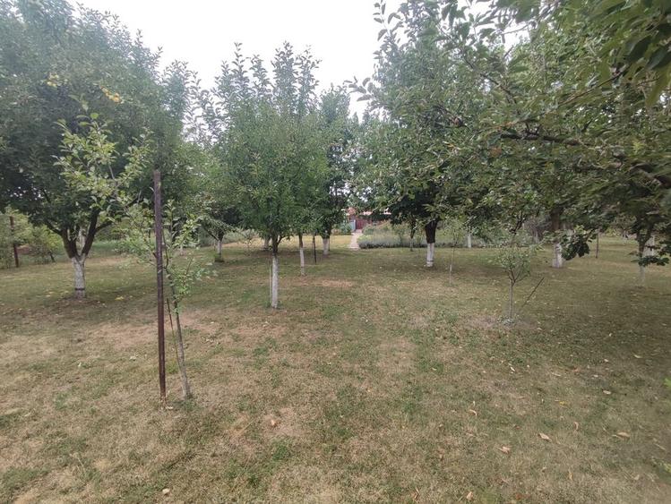 Sanadrei, Casa individuala, Suprafata teren generos, Garaj, terase si anexe - 3