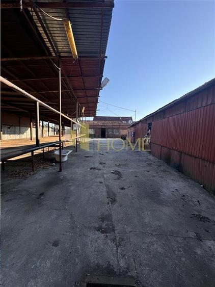 Inchiriere 2 hale industriale plus anexe in Boldesti Scaieni, judetul Prahova - 3