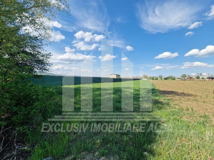 Teren extravilan | De vanzare | 2600 mp | 13.7 ml deschidere | Partos - 1