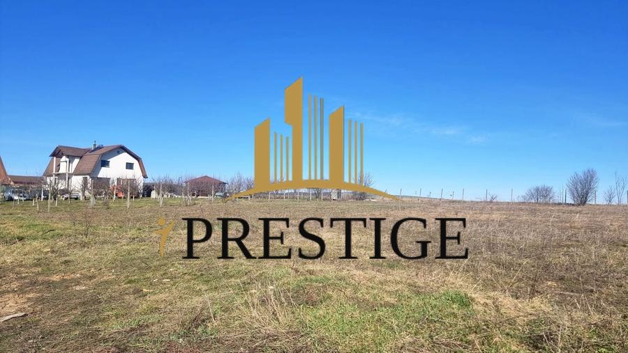 TEREN EXTRAVILAN 873 MP DE VÂNZARE ȘURA MICĂ | POTENȚIAL INTRAVILAN - 4