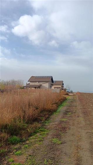 Aroneanu str Viisoarei TEREN 2 loturi x 650 mp. Intravilan cu utilitati zona con - 1