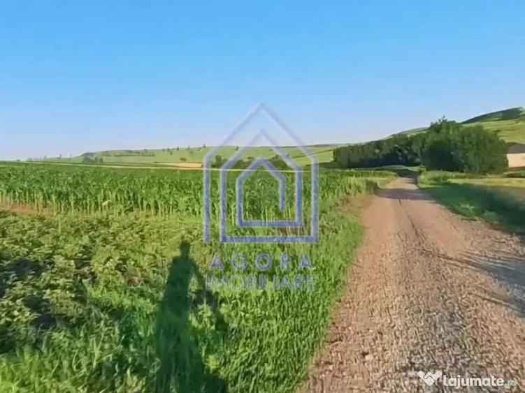 Teren intravilan Moara Carp - zona Ponoare - 1