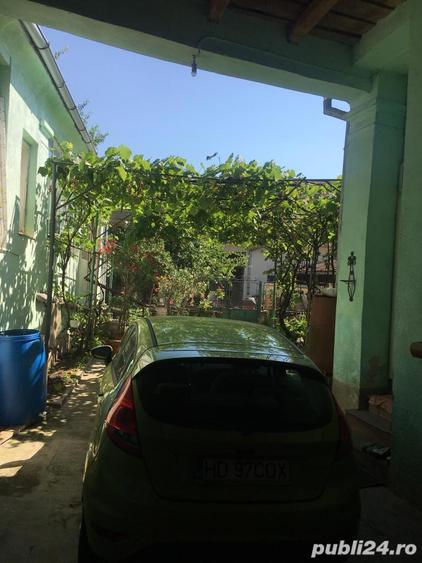 Vand casa cu anexe, curte si gradina (suprafata totala 3444 mp) in Castau, jud. Hunedoara - 5