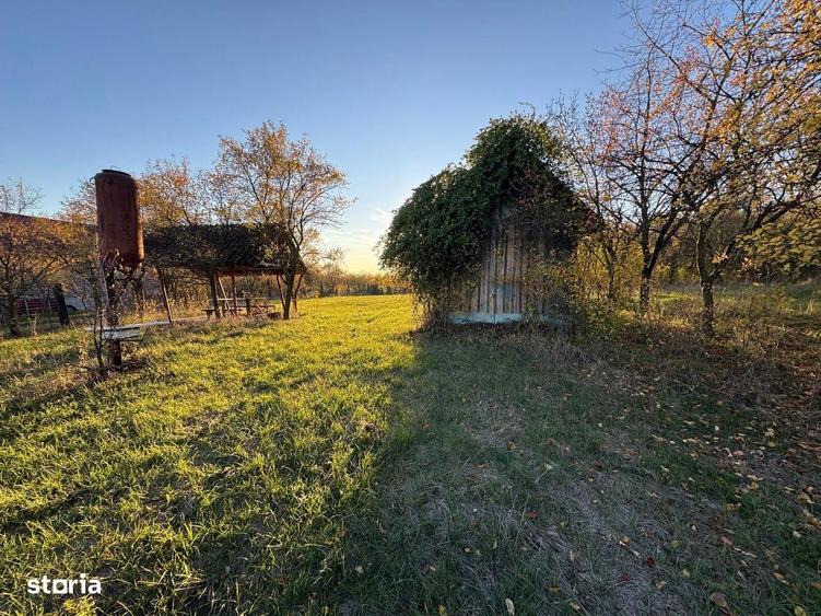 Teren intravilan 3323 Husasau de Cris - 6