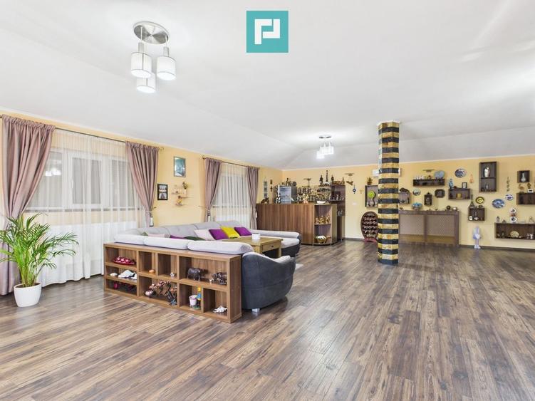 Pensiune la Orțișoara - 23