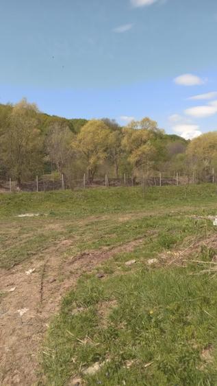 Teren intravilan Valenii de munte - 3