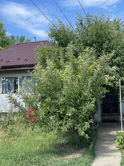 Casa spatioasa 120 mp si 500 mp curte gradina in zona Tg cucu C.A, Rosetti Str. Brandusa - 5