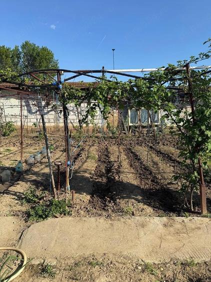 Casa si teren POTMEL?U ( CRAIOVA )1200 MP , la strada - 7
