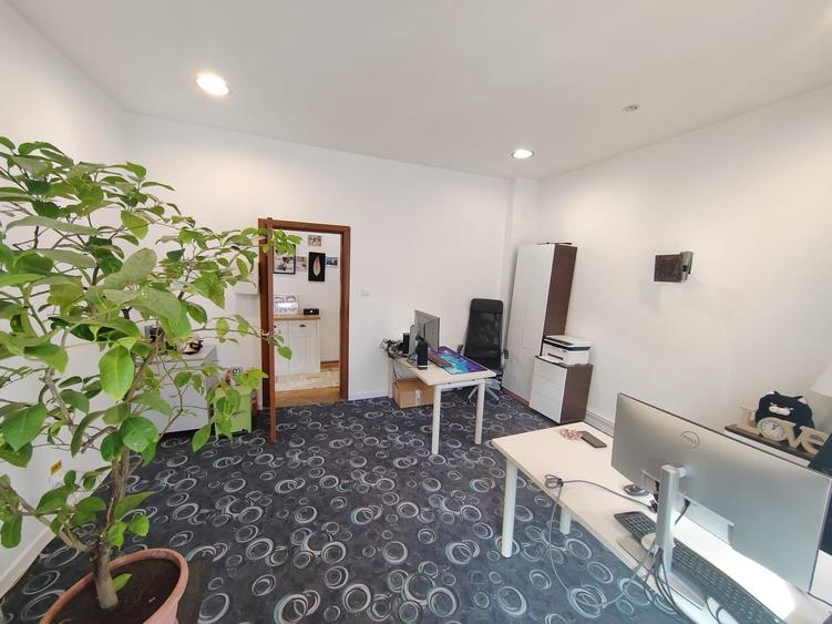 Parcul Carol,imobil versatil rezidential /birouri,parcare si curte - 5