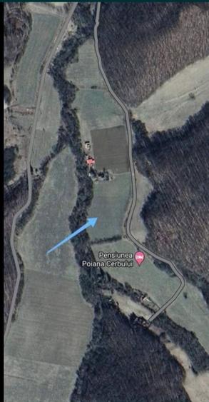 Teren de vanzare Sighi?oara, Dane? - 3