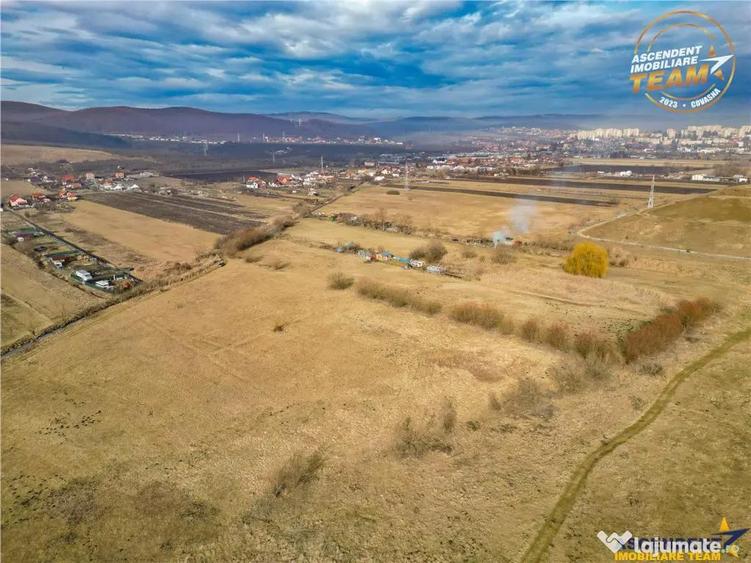 Teren extravilan de 5.800 mp in Sfantu Gheorghe:oportunitate - 6