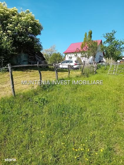 Teren 5596 mp. Com.Bradulet ,sat Galesu. - 9