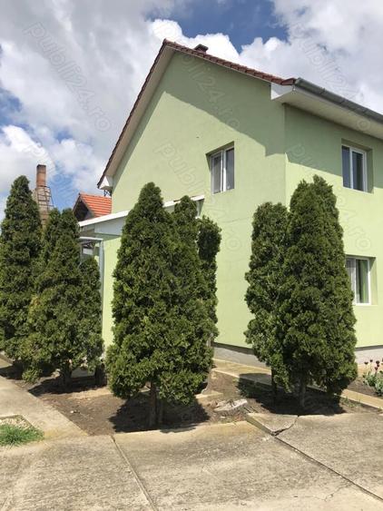 Vand casa Padureni Jebel - 4