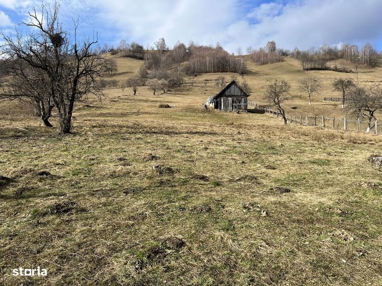 Oportunitate Premium Bran - Simon | 2800mp cu vedere panoramica Bucegi - 3