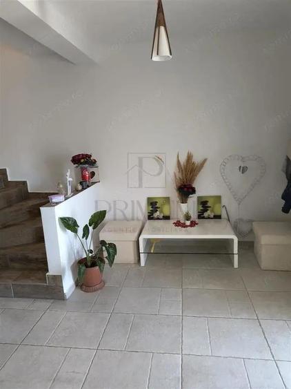 Duplex - Mosnita Noua - Teren 340 mp - 3