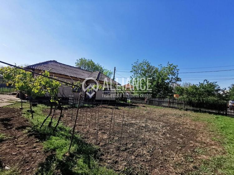 Topraisar casa cu teren 2088 mp - 7