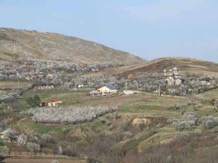 Teren intravilan in localitatea TOHANI PRAHOVA - 1