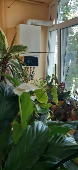 Apartament 4 camere Etaj 1 Central-Favorit - 12