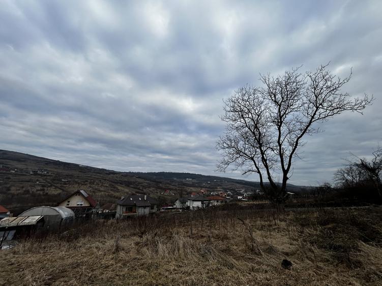 Teren intravilan 480mp Valea Chintaului pentru casa individuala D+P+1 - 1