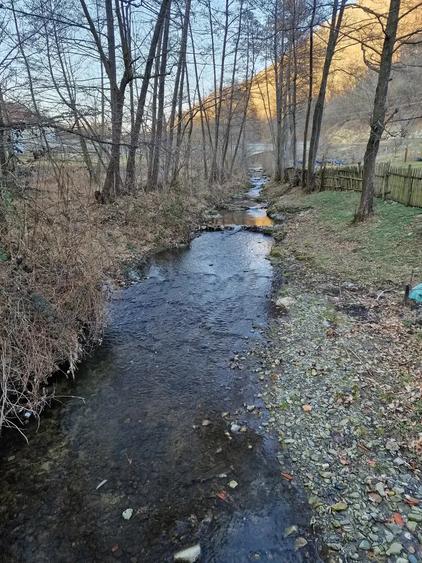 Vand casa in zona de munte, com. Podeni, jud. Mehedin?i. - 6