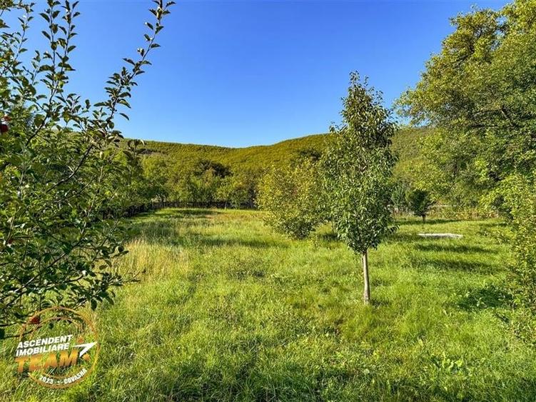 FILM! Proprietate traditionala,de poveste,cu 3.000 mp teren intravilan,Zagon,Cov - 16