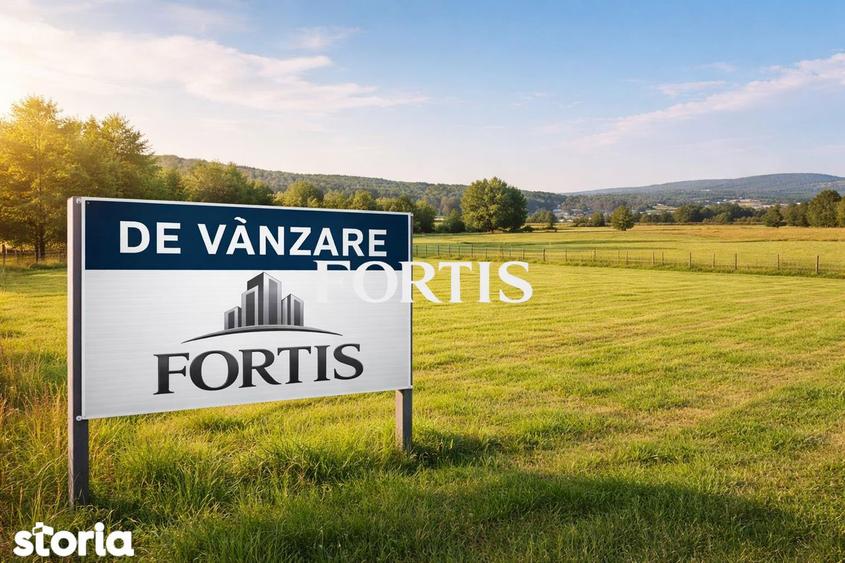 Teren 2.800 mp cu acces la rau si utilitati la drum de vanzare in Becl - 1