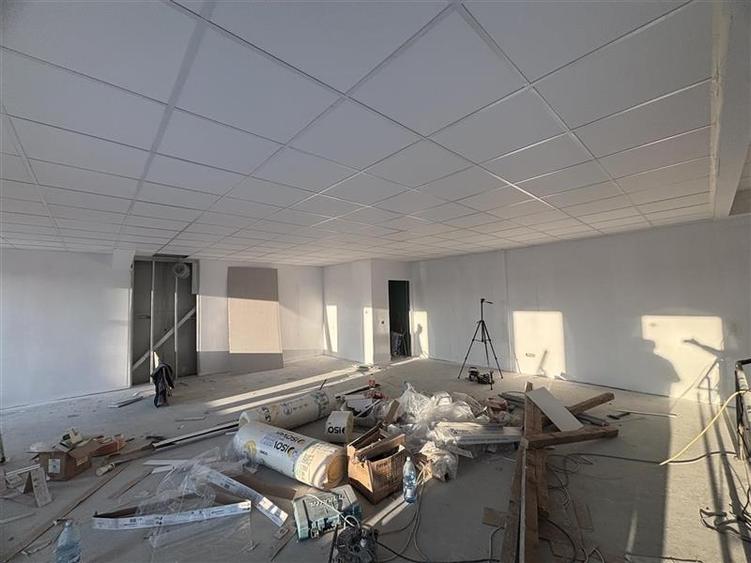 Vanzare depozit/hala/spatiu industrial Mogosoaia - Centura - 5