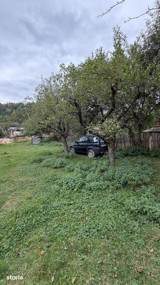 Teren 1.000 mp cu TOATE UTILITATILE - 2