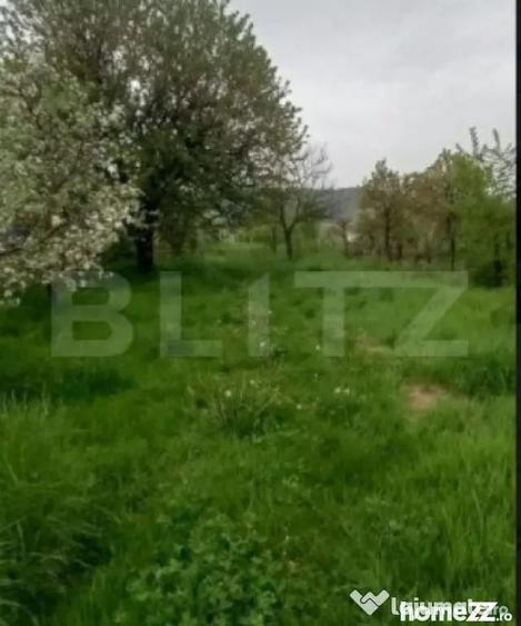 Casă cu 2 camere cu Teren 2315 Mp în Central