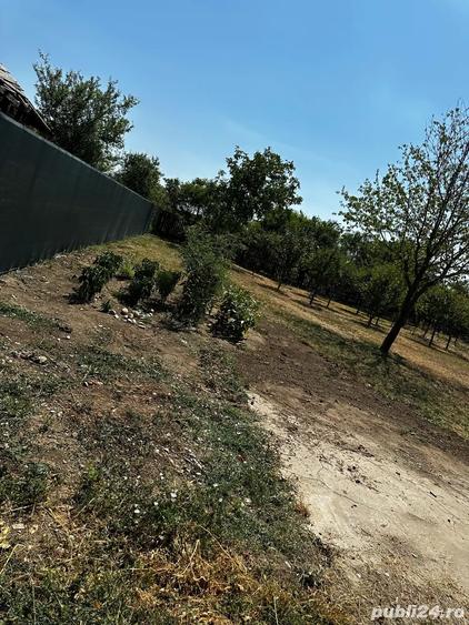 Propietar vand Casa Vadu Anei Branesti 1480 m2 , Gaze , Curent , Put , fosa centrala - 2