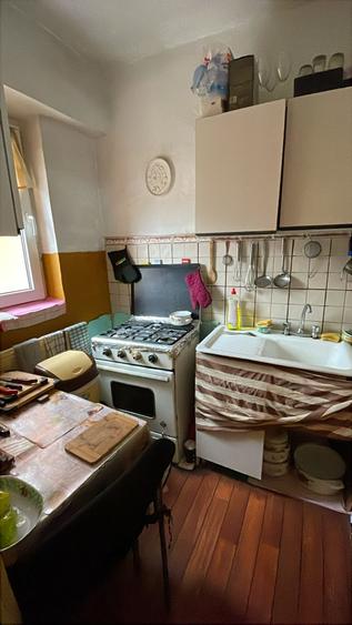 Colentina Teiul Doamnei - 2